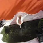 Alojamento de Acomodação e Pequeno-almoço Lapa 82 4*