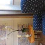 Lapa 82 Bed and breakfast Lisboa